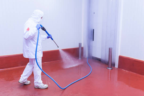 Best Post-Construction Pressure Washing  in Whiteriver, AZ
